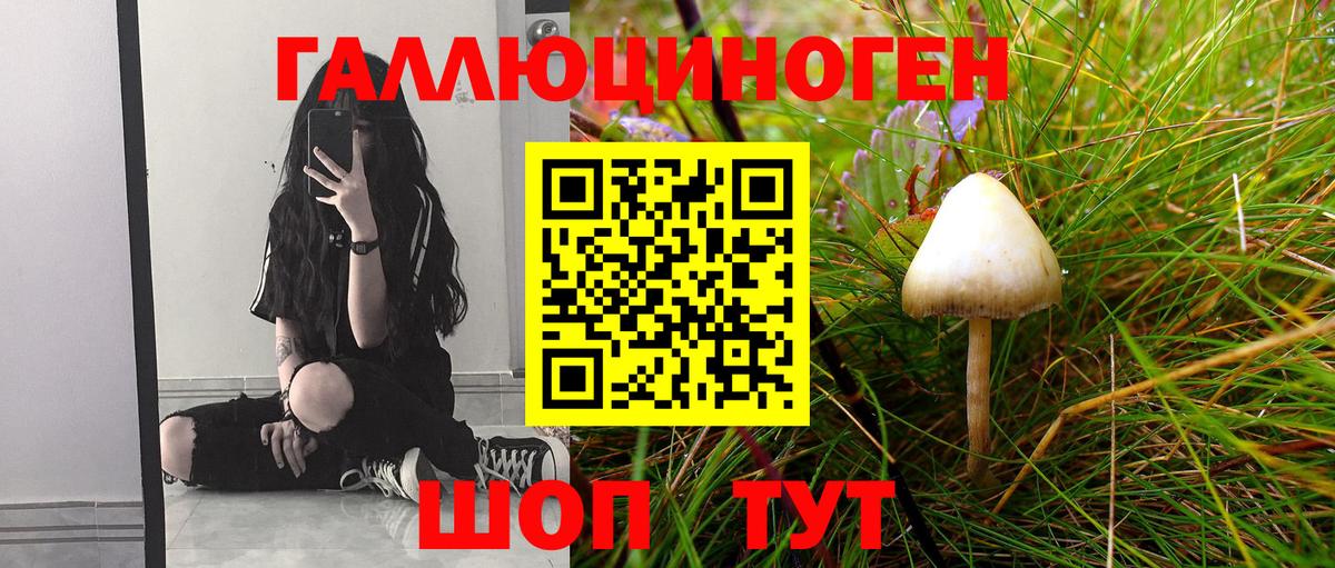 Галлюциногенные грибы прущие грибы Иркутск