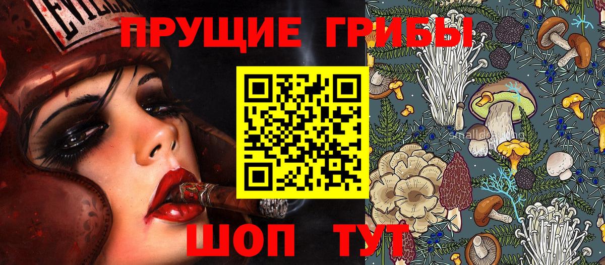 Псилоцибиновые грибы GOLDEN TEACHER  Вход с VPN  Иркутск 